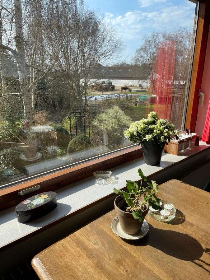 Retro Bolig - Fyldt Med Hygge! Ingen Luksus Apartman Kolind Kültér fotó